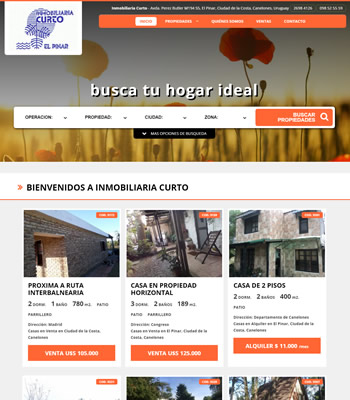 Pagina web inmobiliaria