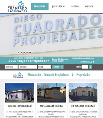 Pagina web inmobiliaria