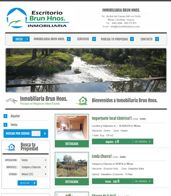 Pagina web inmobiliaria
